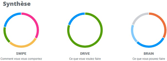Assessfirst Swipe Drive Brain 2026